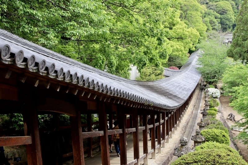kibitsu shrine in kibiji okayama