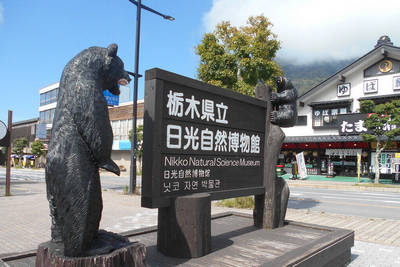 nikko natural science museum