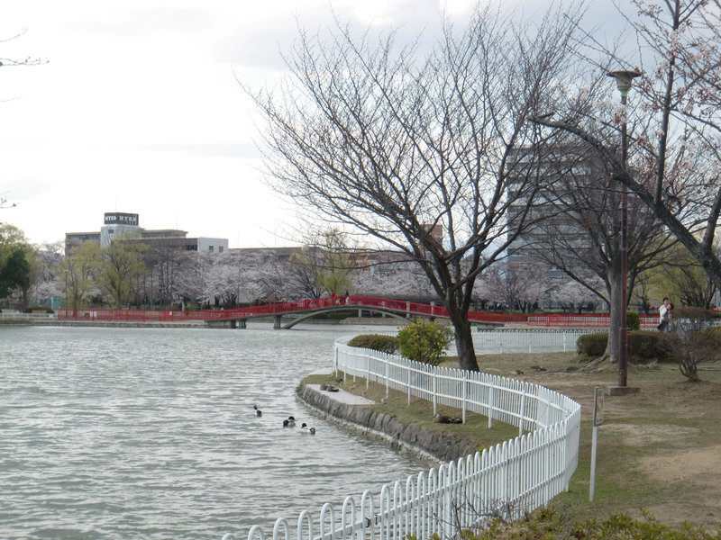 koriyama kaiseiyama park