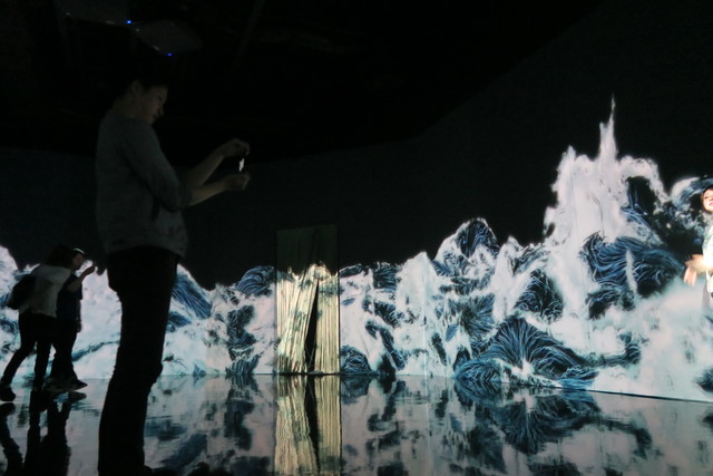 Digital Art Museum Teamlab Borderless, Black Waves