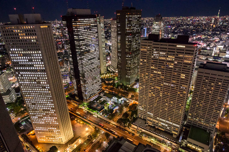 view from the tokyo metropolitan government building north-east