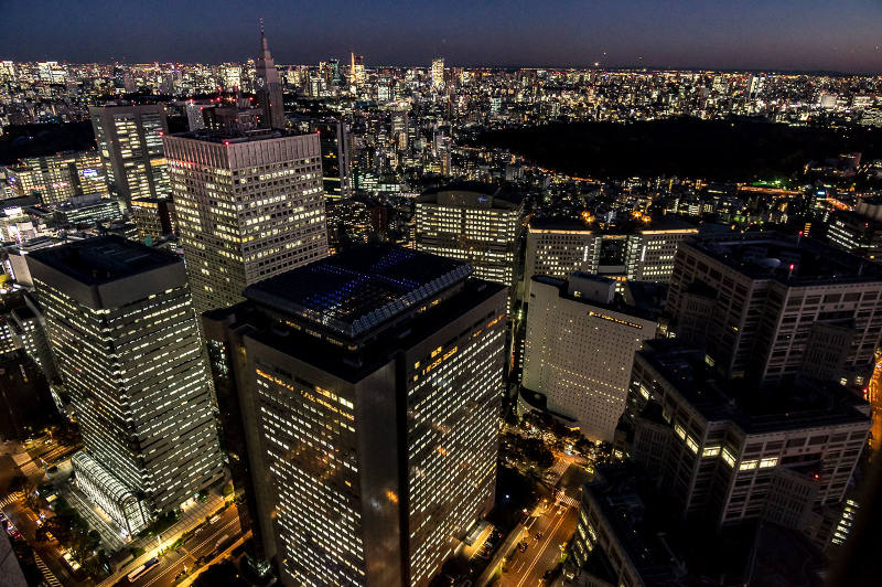 view from the tokyo metropolitan government building south-east