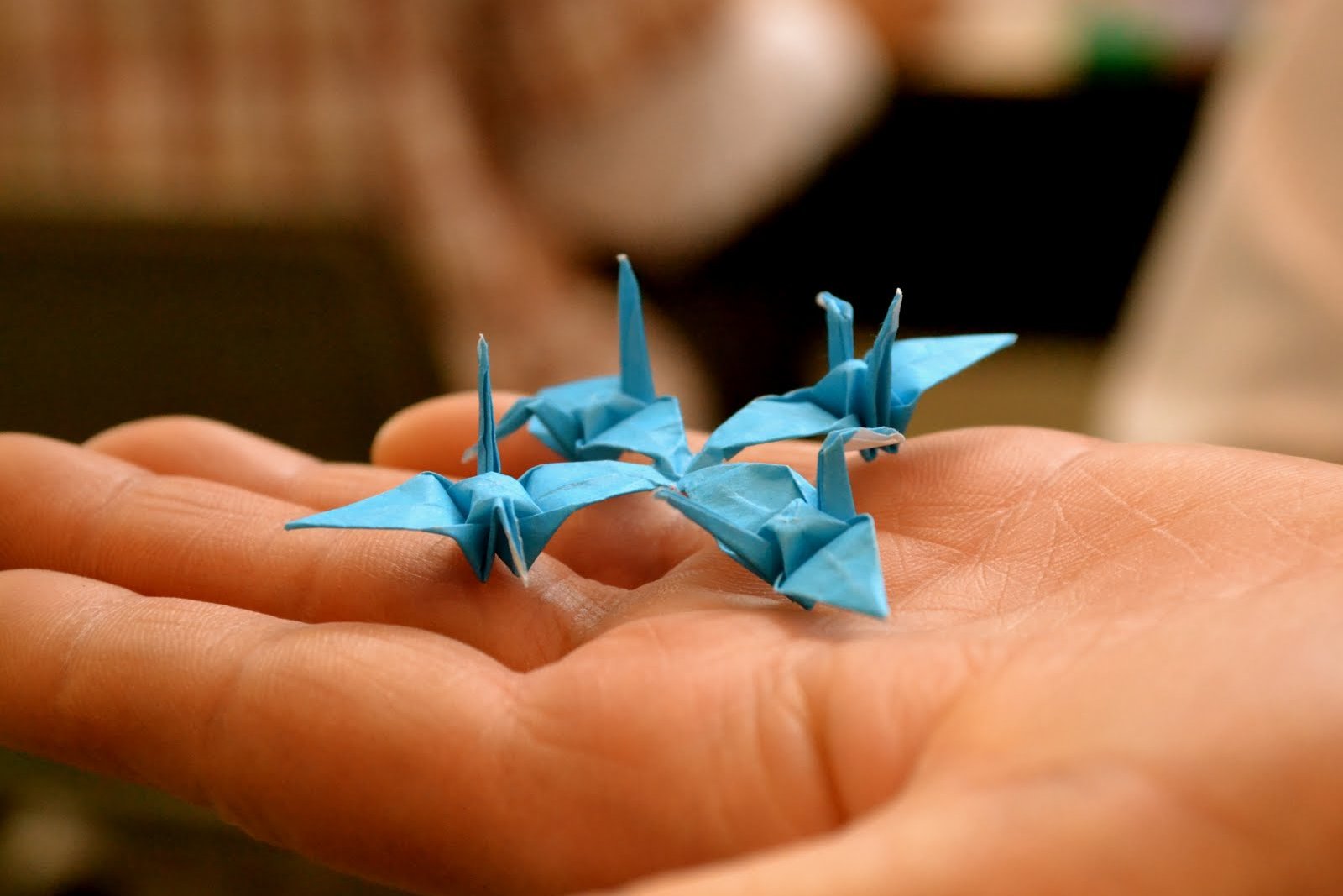 Animals Origami Set Japanese Folded Modern Wildlife Hobby Symbol
