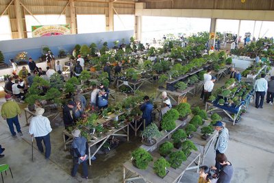 bonsai kinashi centre takamatsu