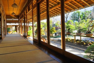 shunkaen bonsai museum edogawa