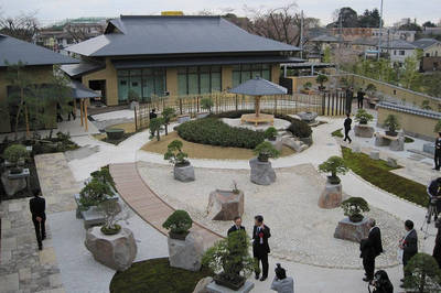 omiya bonsai village