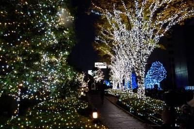 christmas illuminations at shinjuku southern terrace