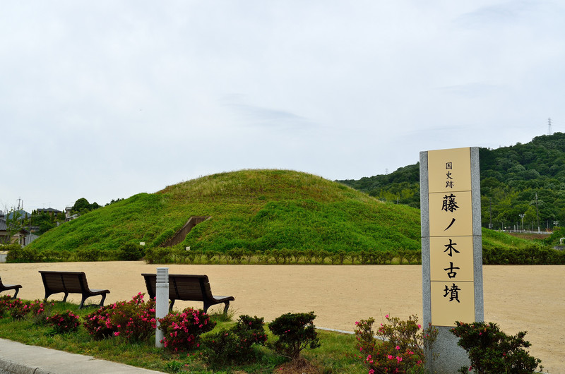 ikaruga fujinoki tomb