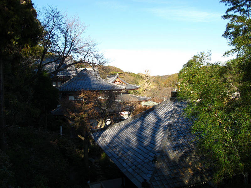 hasedera temple from above