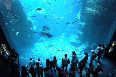 enoshima aquarium