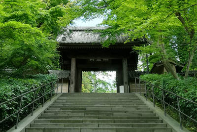 enkakuji temple in kamakura