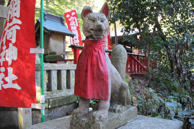 sasuke inari shrine in kamakura