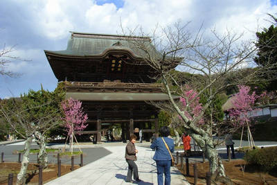 kenchoji temple in kamakura