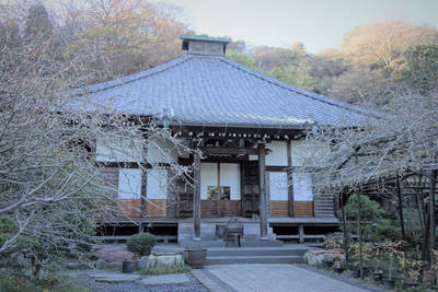 kosokuji temple in kamakura