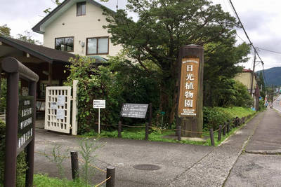 botanical garden in nikko