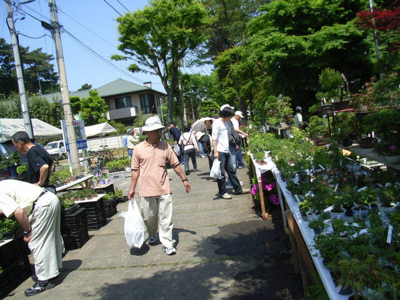 saitama omiya bonsai village
