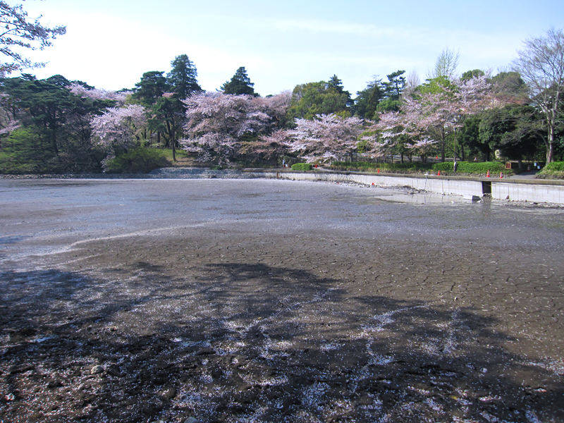 saitama omiya park