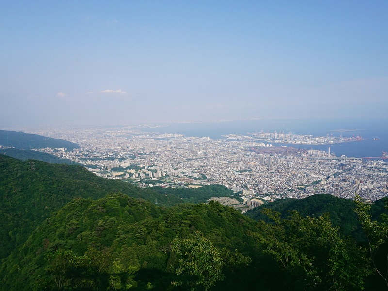 rokko kikuseidai