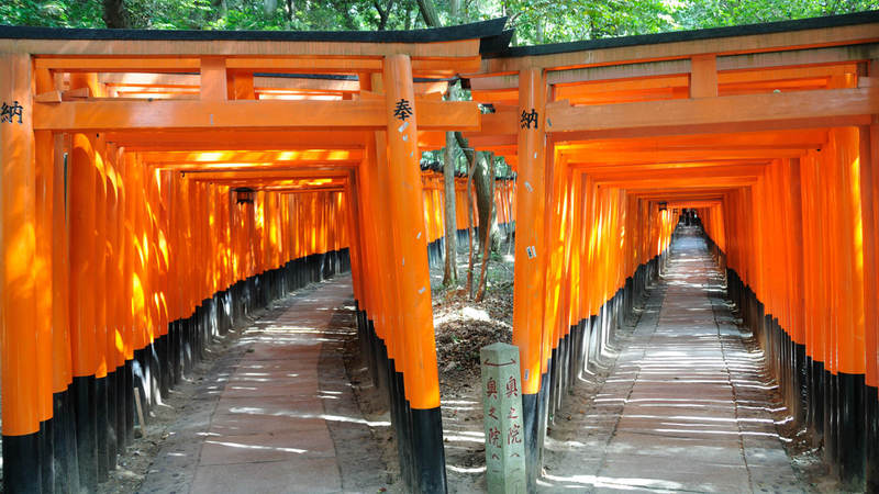 beginning of the paths under the torii at the fushimi inari taisha kyoto