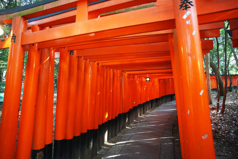 under the torii fushimi inari taisha kyoto