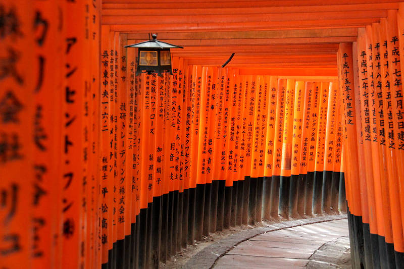 under the torii fushimi inari taisha kyoto