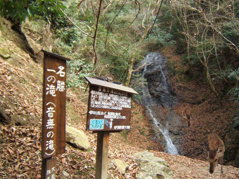 otonashi no taki waterfall ohara kyoto