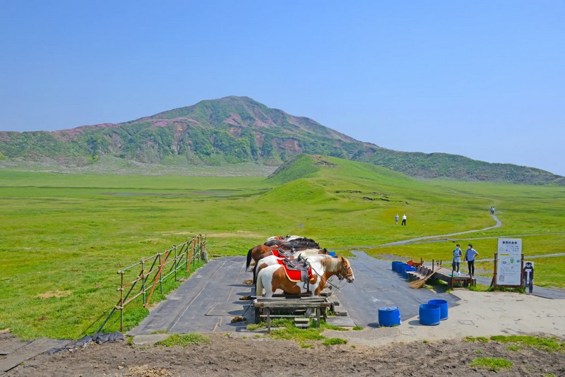 mount aso kusasenri horses