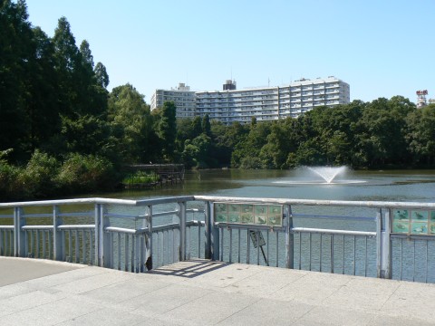Inokashira Park, Kichijoji in Great Teacher Onizuka 