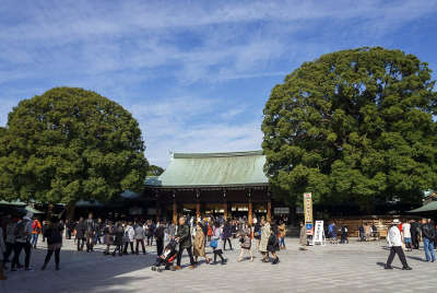 harajuku meiji jingu