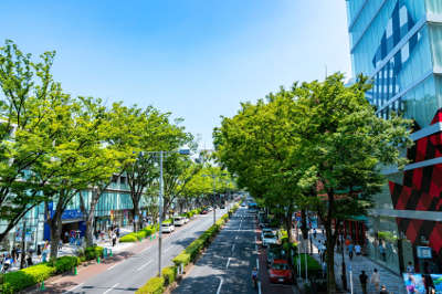 harajuku omotesando