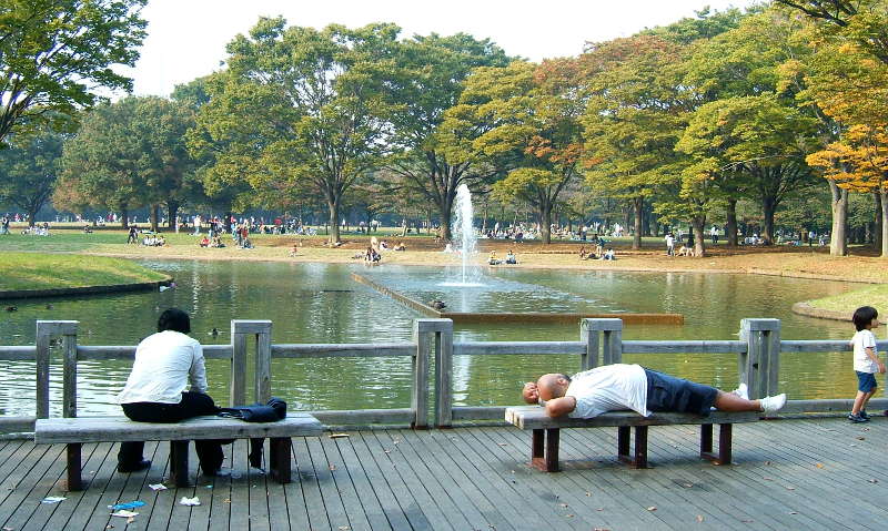 harajuku yoyogi park