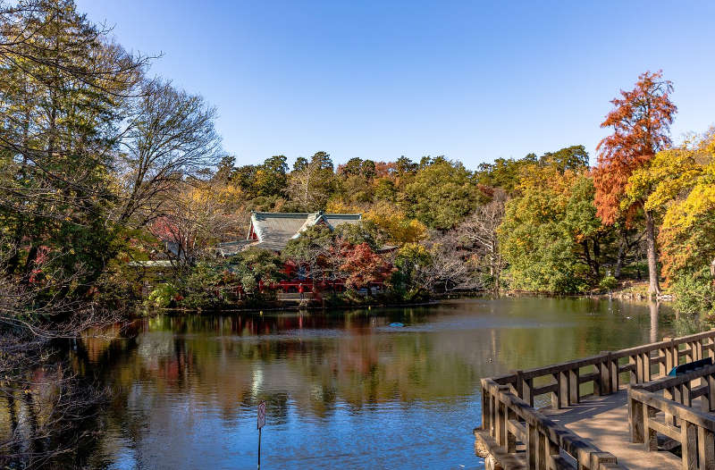 parco di inokashira a kichijoji autunno