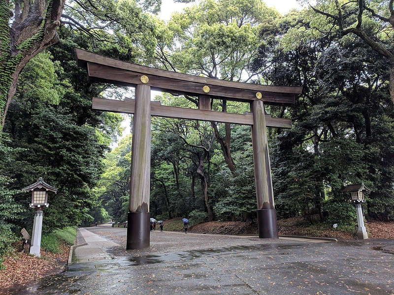 meiji jingu entrance gate torii