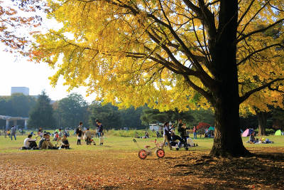 hikarigaoka park