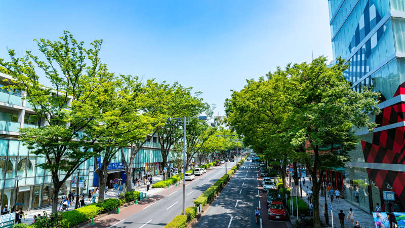 omotesando