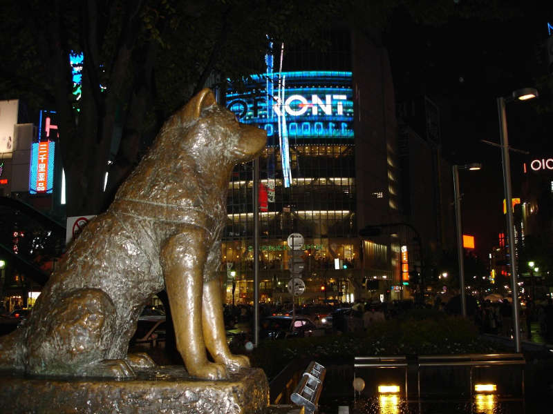 shibuya hachiko