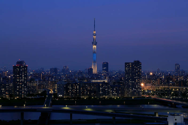 night view of tokyo Skytree